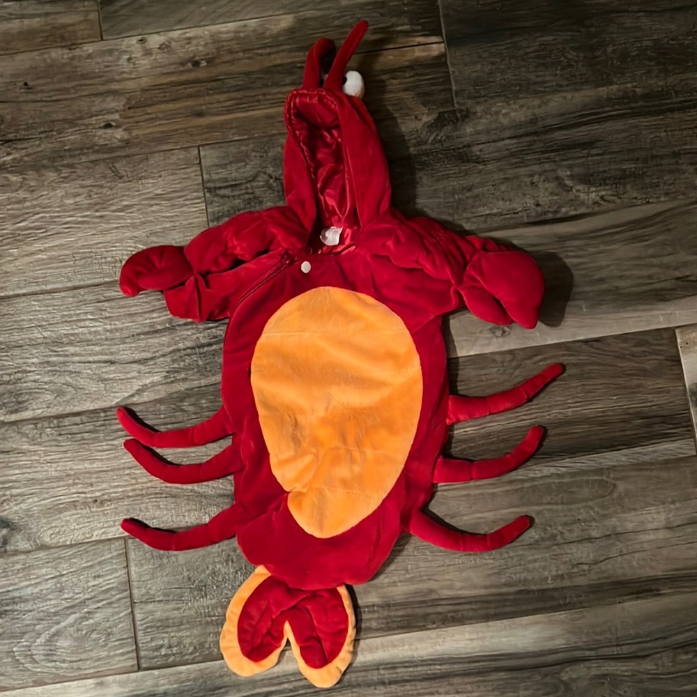 COPY - Baby Lobster Costume